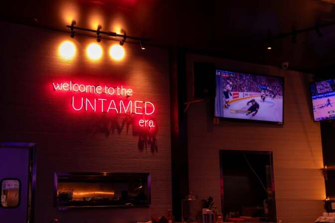 5wins newsletter - Untamed Spirits